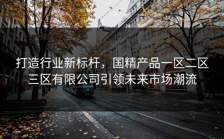 打造行业新标杆，国精产品一区二区三区有限公司引领未来市场潮流