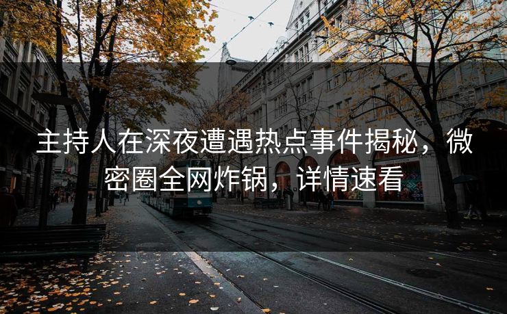 主持人在深夜遭遇热点事件揭秘，微密圈全网炸锅，详情速看