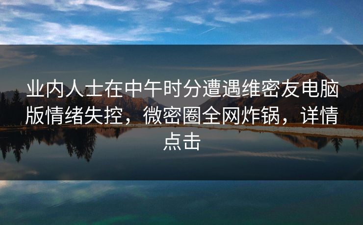 业内人士在中午时分遭遇维密友电脑版情绪失控，微密圈全网炸锅，详情点击