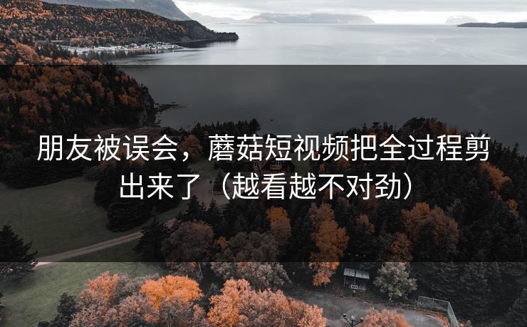朋友被误会，蘑菇短视频把全过程剪出来了（越看越不对劲）