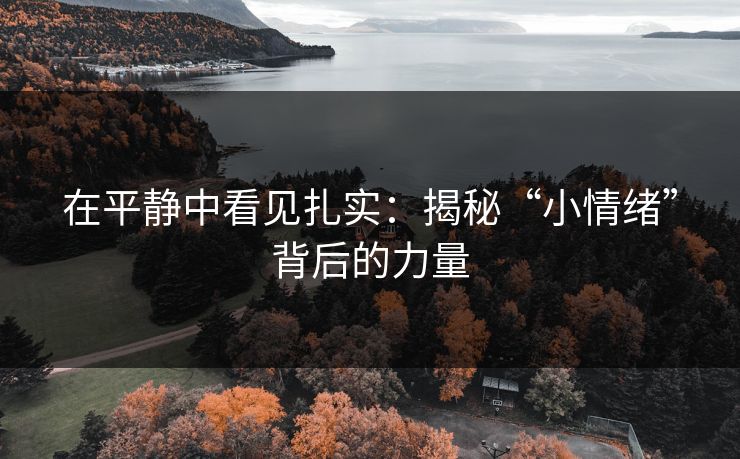 在平静中看见扎实：揭秘“小情绪”背后的力量